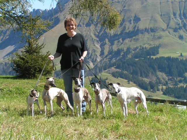 Hoog in de bergen van Zwitserland tijdens het EKC. 